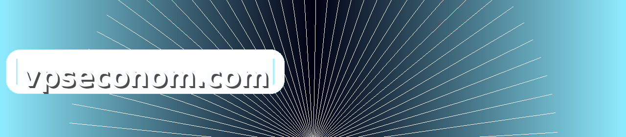 vpseconom.com